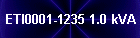 ETI0001-1235 1.0 kVA