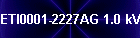ETI0001-2227AG 1.0 kVA